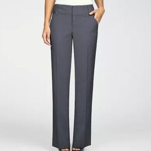 Daisy Fuentes Charcoal Dress Pants